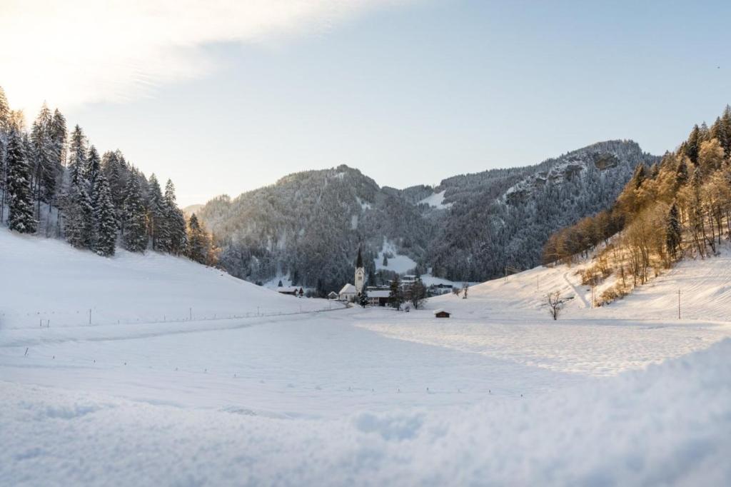 费斯恩Berger Wohlfühloase的一片积雪覆盖着树木和山脉的田野