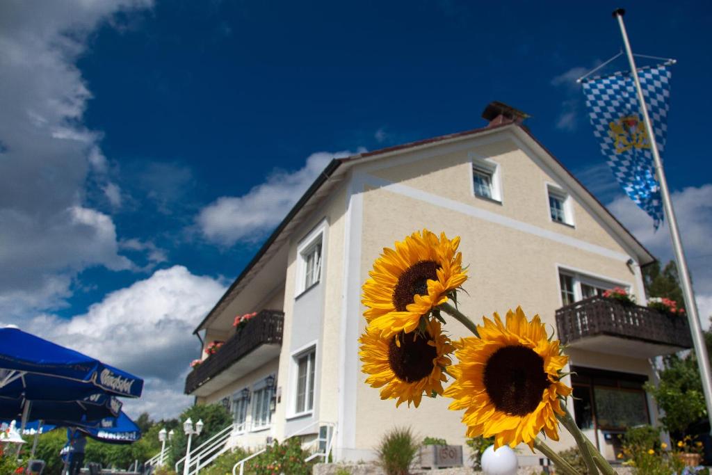 福恩施特劳斯索奈翰格兰德就爱你的一座建筑前面有三个向日葵