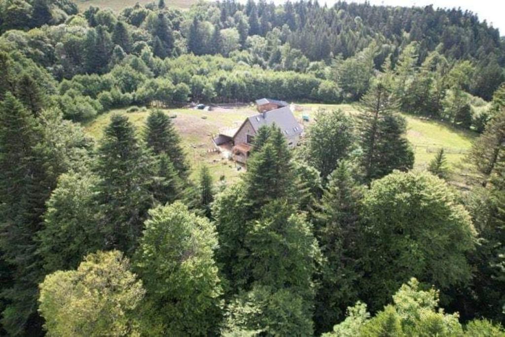 勒蒙多尔LE DOMAINE DE LA LOUVE BLANCHE的森林中间房屋的空中景观