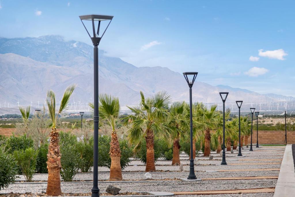 沙漠温泉RV71-Lot- Paradise RV Park的棕榈树和山脉的街道灯