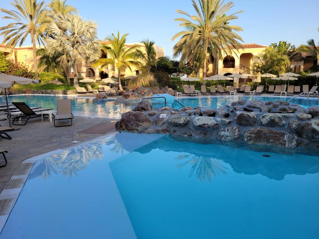 大加那利岛拉斯帕尔马斯Palm Oasis - Time Sharing的棕榈树度假村的游泳池