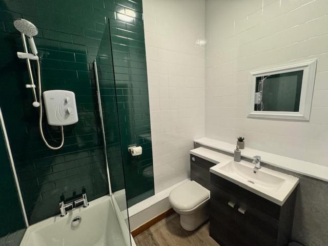 亚历山德里亚Ben Lomond Apartment的浴室配有卫生间、盥洗盆和淋浴。