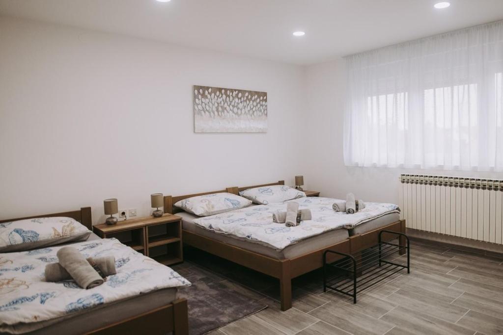 武科瓦尔Holiday house with a parking space Vukovar, Slavonija - 22809的一间客房内配有两张床的房间