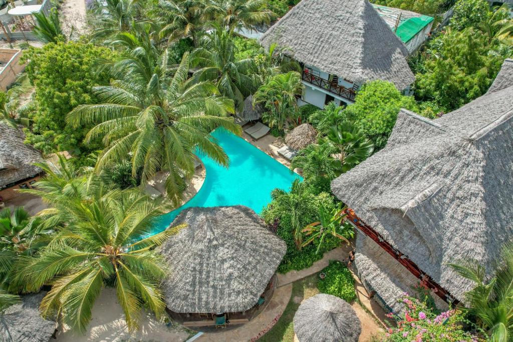 南威Maisha Nungwi的享有度假村的空中景致,设有游泳池和棕榈树