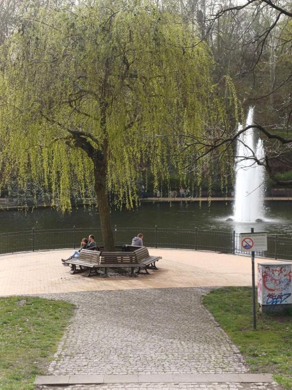 柏林公园及城市亚历克斯公寓的一群人坐在公园长椅上树下