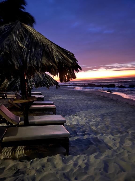 曼克拉Los Corales的日落时在海滩上摆放一排躺椅