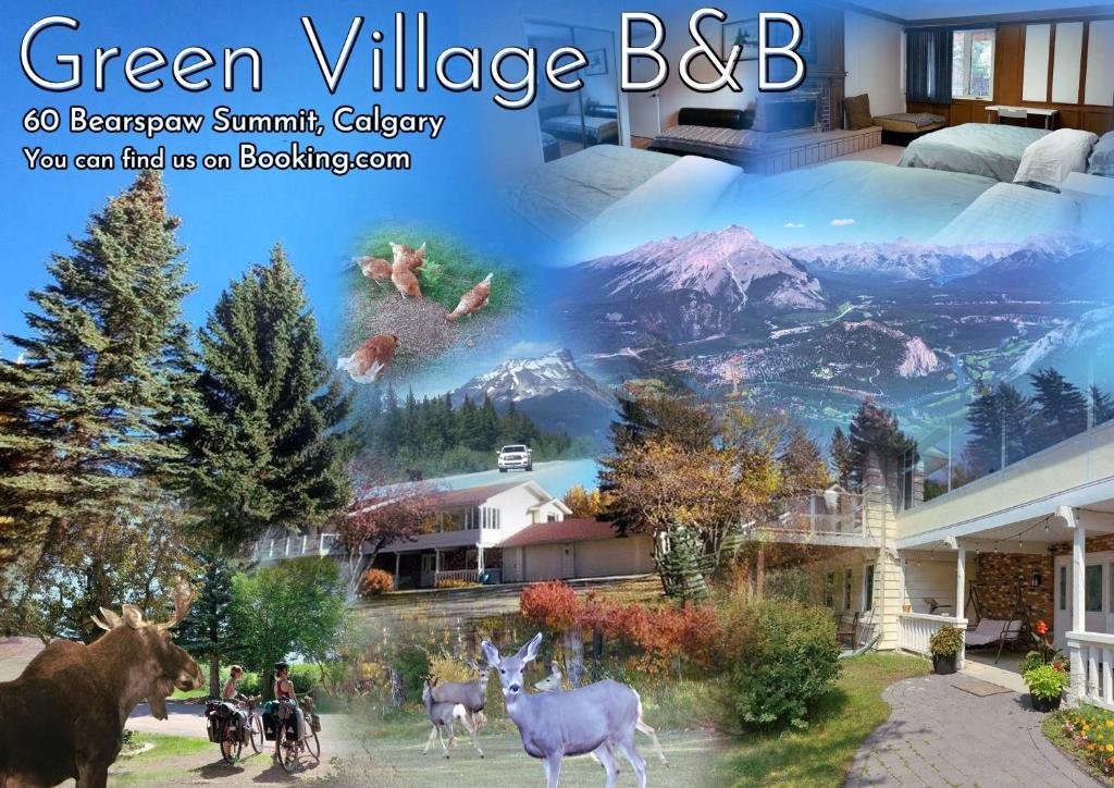 卡尔加里Green Village B&B的绿色村庄bc杂志广告,带动物图片