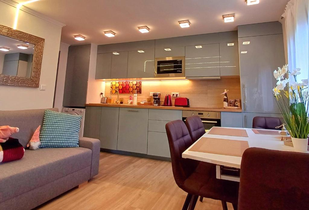 韦赖谢吉哈兹Dénár Apartman的带沙发和桌子的客厅以及厨房。