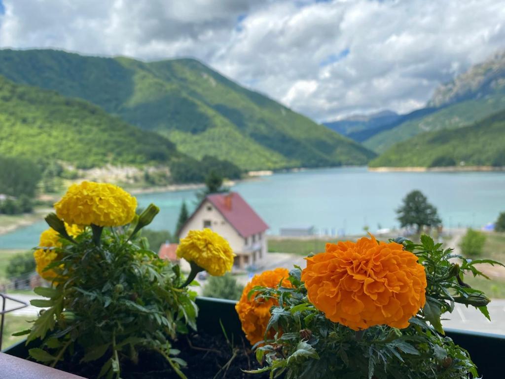 普卢日内Apartment LAKEVIEW的两朵花在窗台上,享有湖景