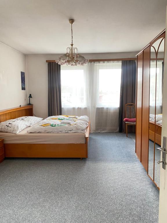 PuchenauAppartment nähe Linz的一间卧室配有一张床和一个吊灯