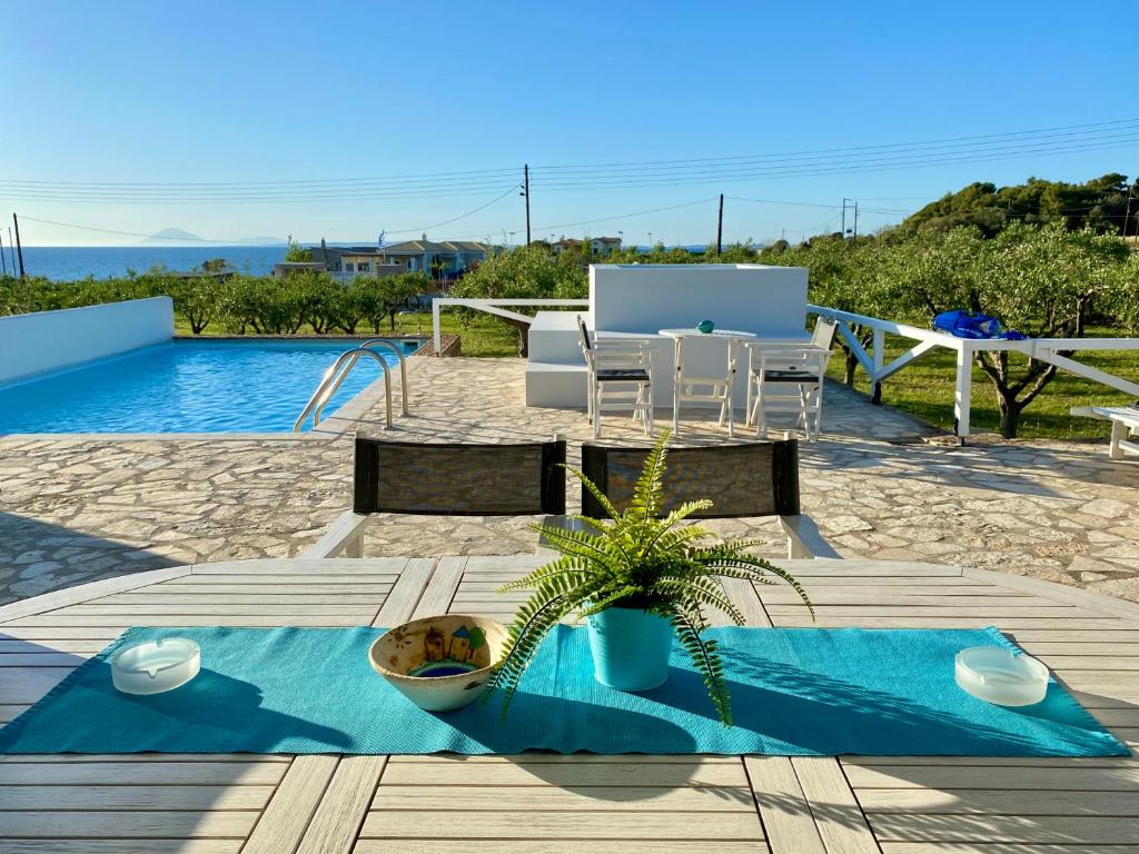 KorakokhórionBetty's Villas的坐在游泳池旁桌子上的盆栽植物