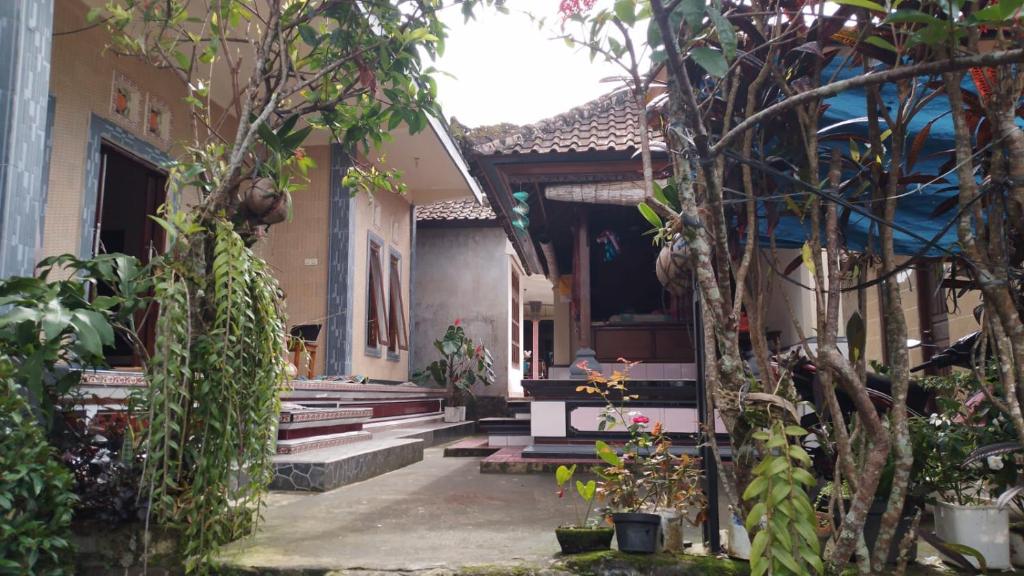 贾蒂卢维Anish Homestay的一座带门廊和一些植物和树木的房子