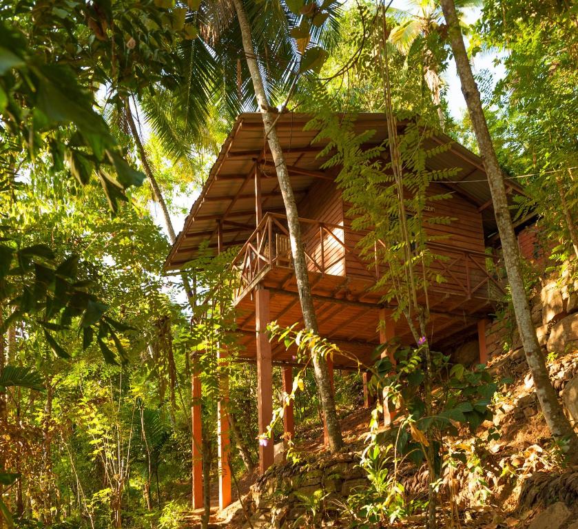 迪加纳普瓦莎生态小屋酒店的森林中的一个树屋