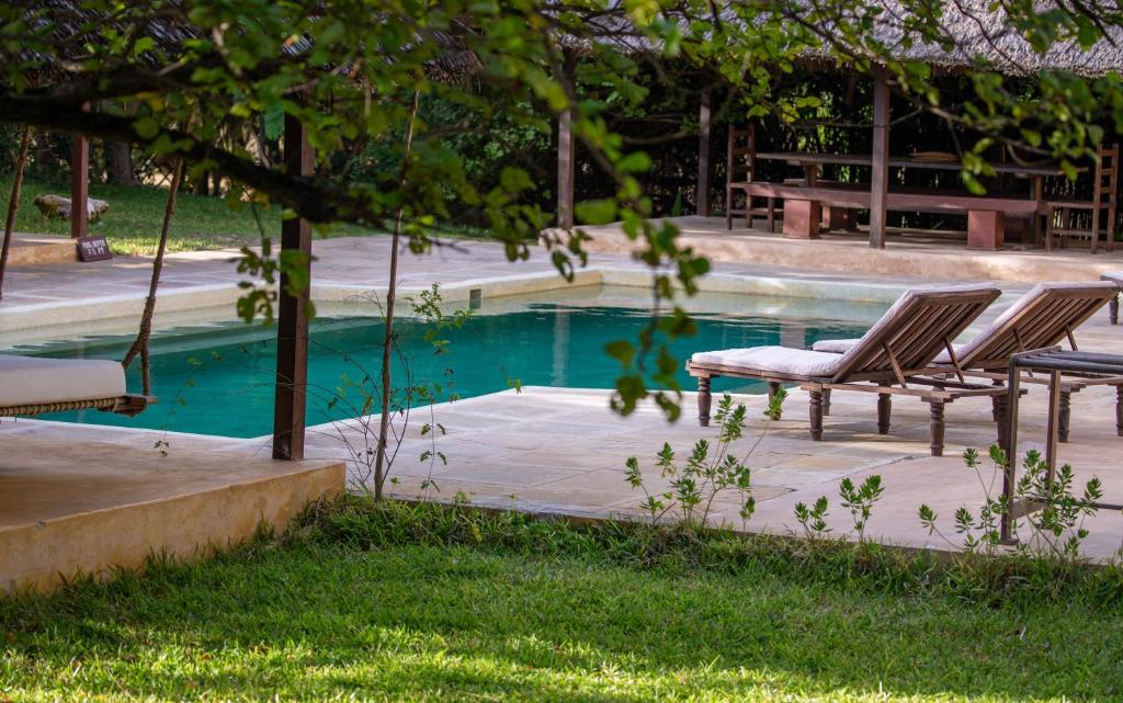 Pepo House - Lamu Island内部或周边的泳池