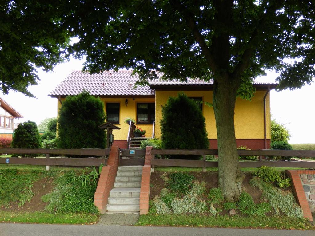 GotthunFerienwohnung unweit der Müritz的前面有一棵树的黄色房子