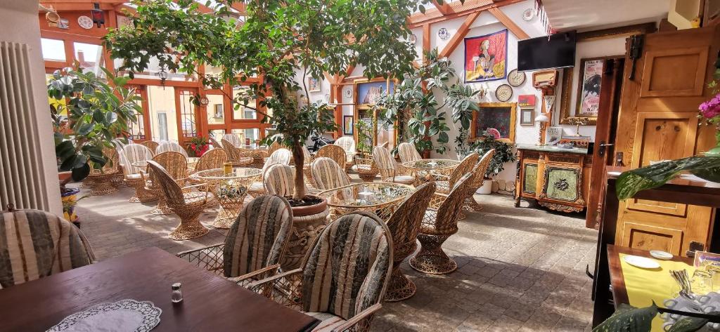 爱尔福特Pension Hochheimer Schlösschen的一间设有桌椅的餐厅,种植了植物