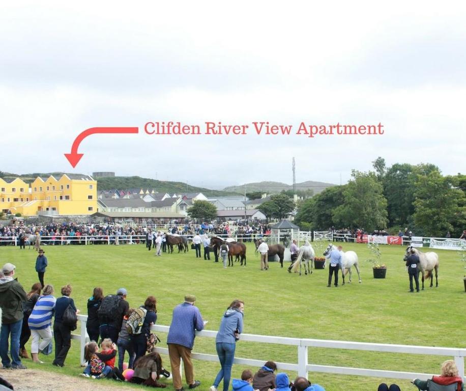 克利夫登Clifden River View Apartment的一群人在田野上看马