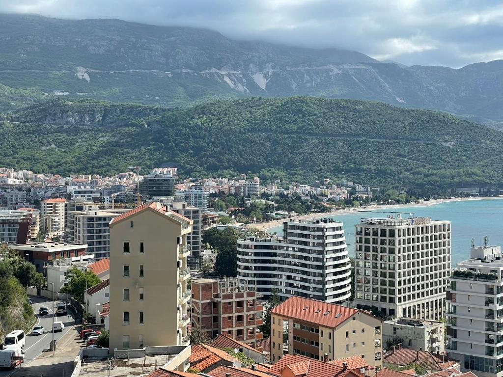 布德瓦Perla的一座有建筑和水山的城市