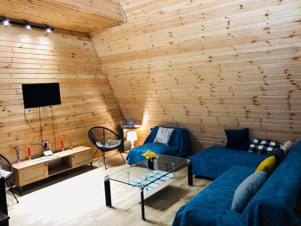 泰拉维Heaven Shalauri的客厅设有木墙和蓝色沙发