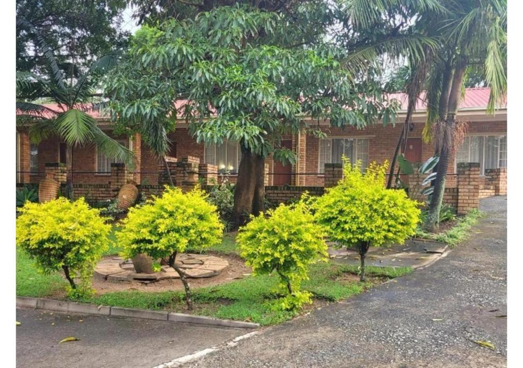 巴德普拉斯Mumo Resort的房屋前的一群树木