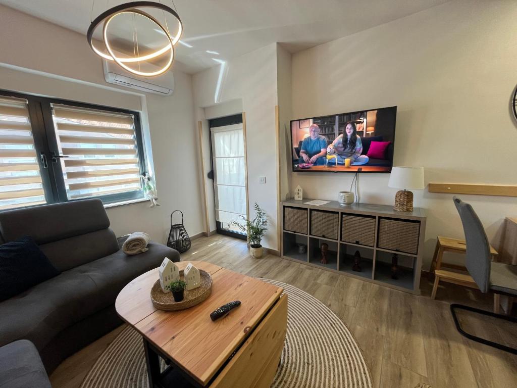 新格拉迪什卡Apartman Sandra的带沙发和电视的客厅