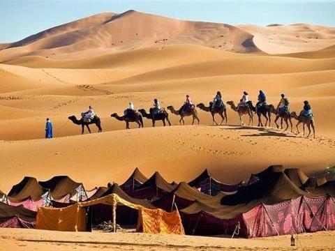 马拉喀什Maison linda的一群人在沙漠骑骆驼
