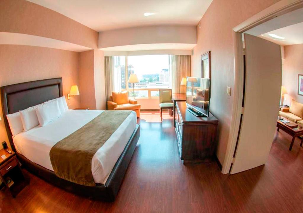 危地马拉危地马拉克拉丽奥套房酒店的酒店客房设有一张大床和一间客厅。