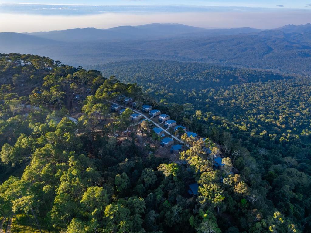 Kampong SeilaRomhaey Kirirom Resort的森林中间道路的空中景观