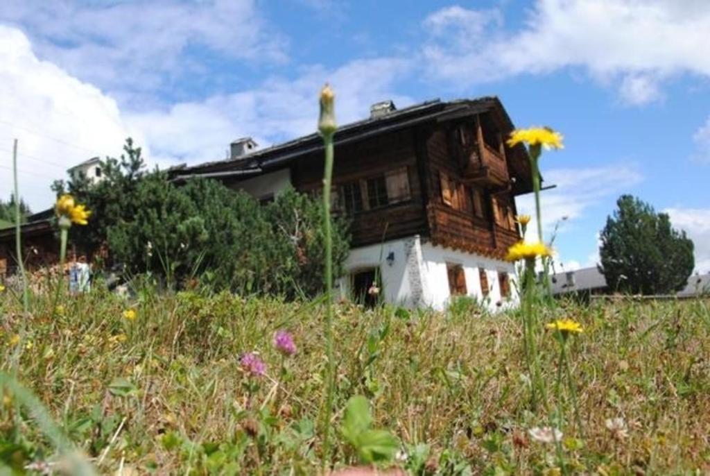 迪森蒂斯Bündnerchalet im Herz der Schweizer Alpen的一座花田小山上的房子