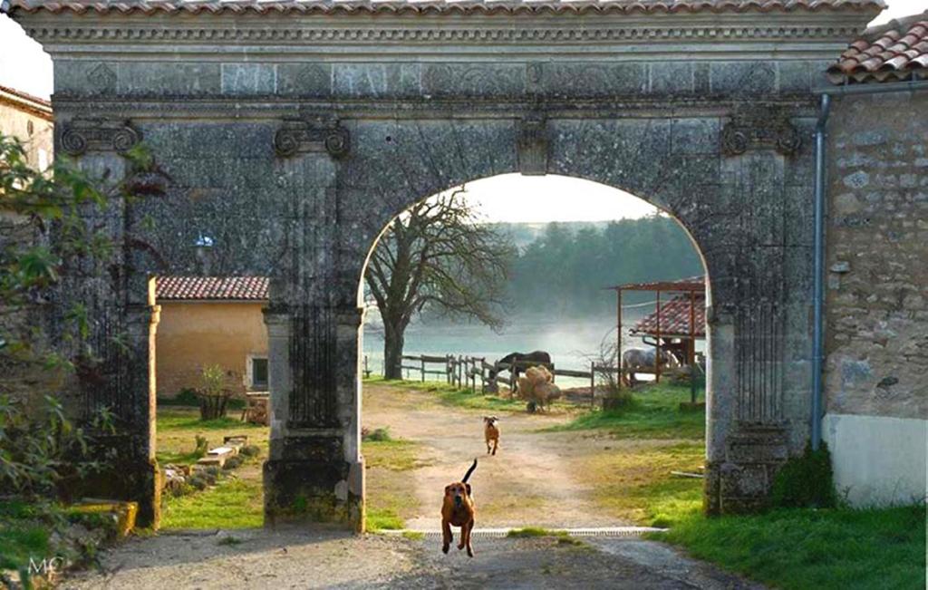 MarsacDomaine De Chantemerle B'nB的两只狗在田野的拱门下走