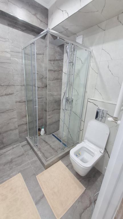 CodruAIRHOTEL的带淋浴和白色卫生间的浴室