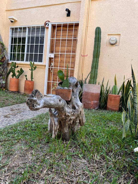 伊斯塔帕Sweet home Ixtapa comfort的房屋前树桩的雕像
