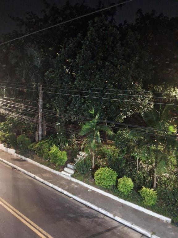 瓜鲁柳斯Casa kitnet的一条在路边种有树木和植物的街道