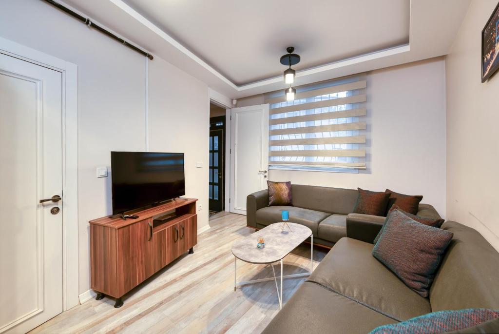 伊斯坦布尔HAGİA Detached House的带沙发和平面电视的客厅