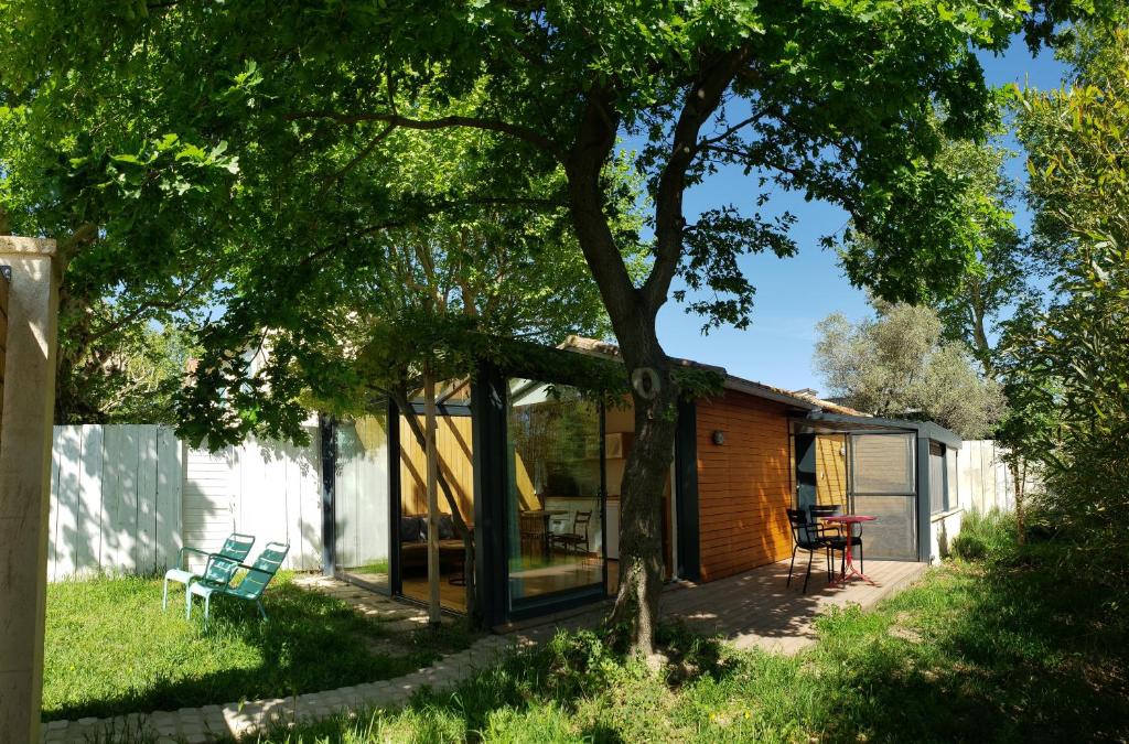 阿维尼翁Le mazet des amants, cabane en bois avec jacuzzi privatif的院子里有树的玻璃房子