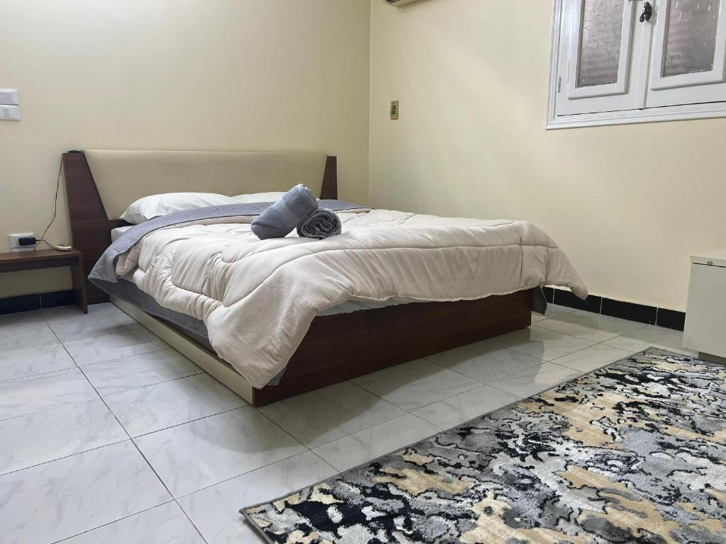 开罗Cairo's Heart Central Apartment in Masr El Gedida的一间卧室配有带两个枕头和地毯的床