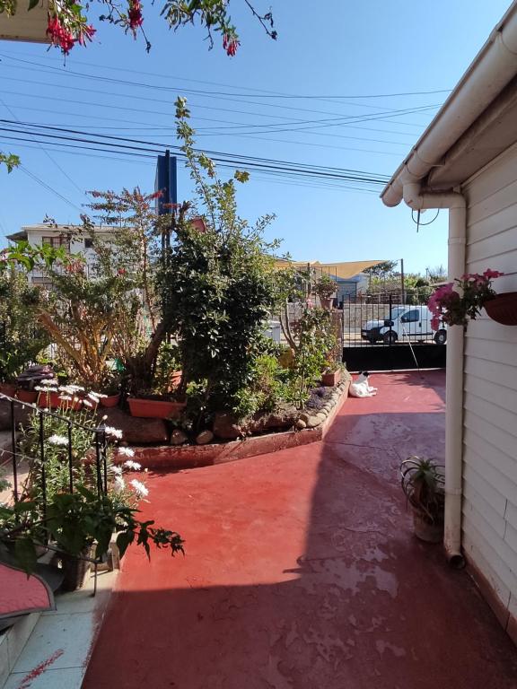 埃尔基斯科Hostal Saint Michell. El Quisco的一座有红色车道的植物屋