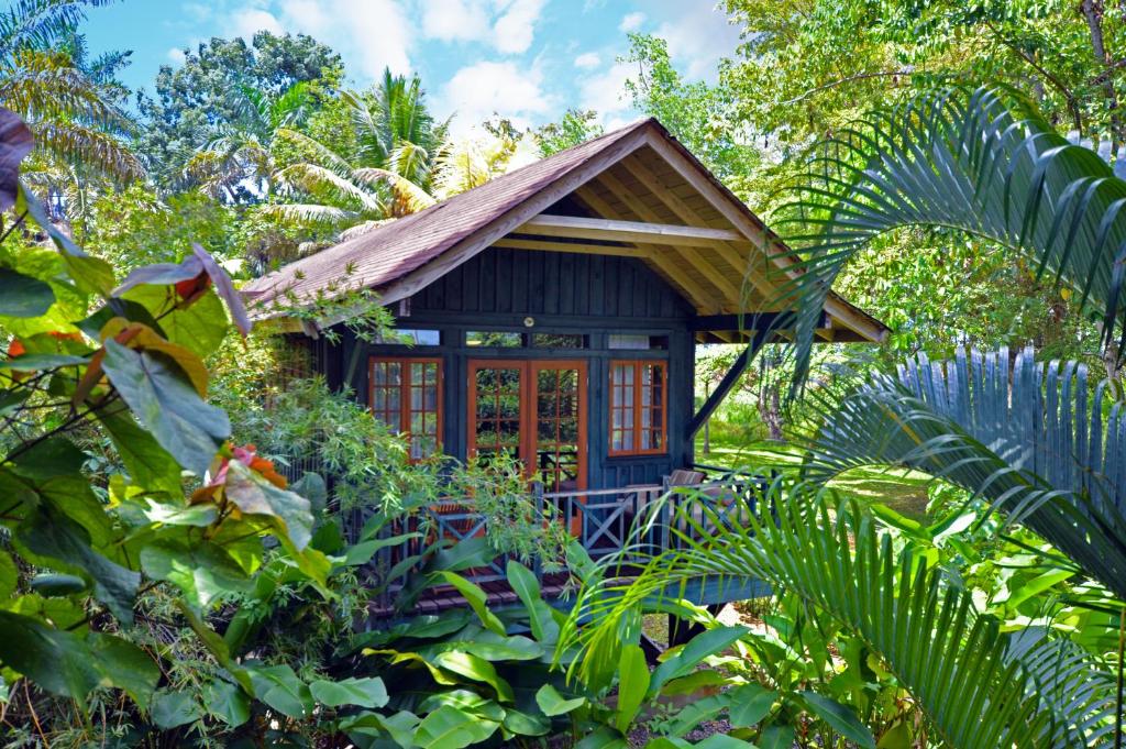 尼格瑞尔日落棕榈度假村 - 仅限成人入住 - 全包的森林中间的小房子