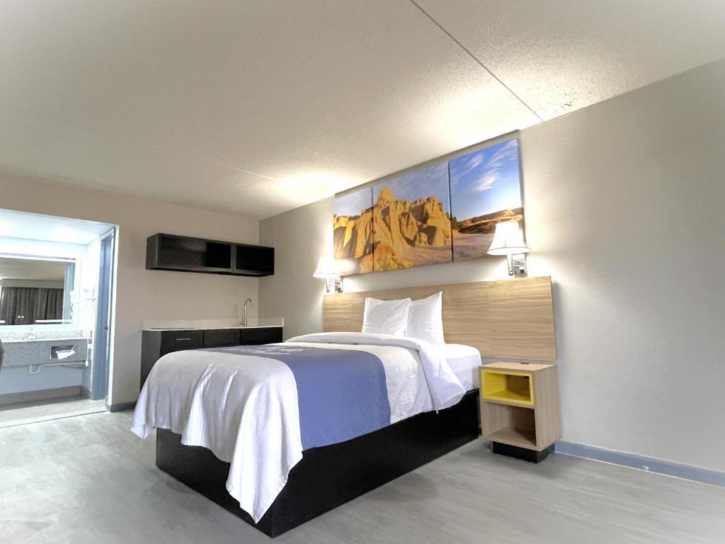 萨利纳南萨利纳戴斯酒店的一间酒店客房,配有一张床和一台电视