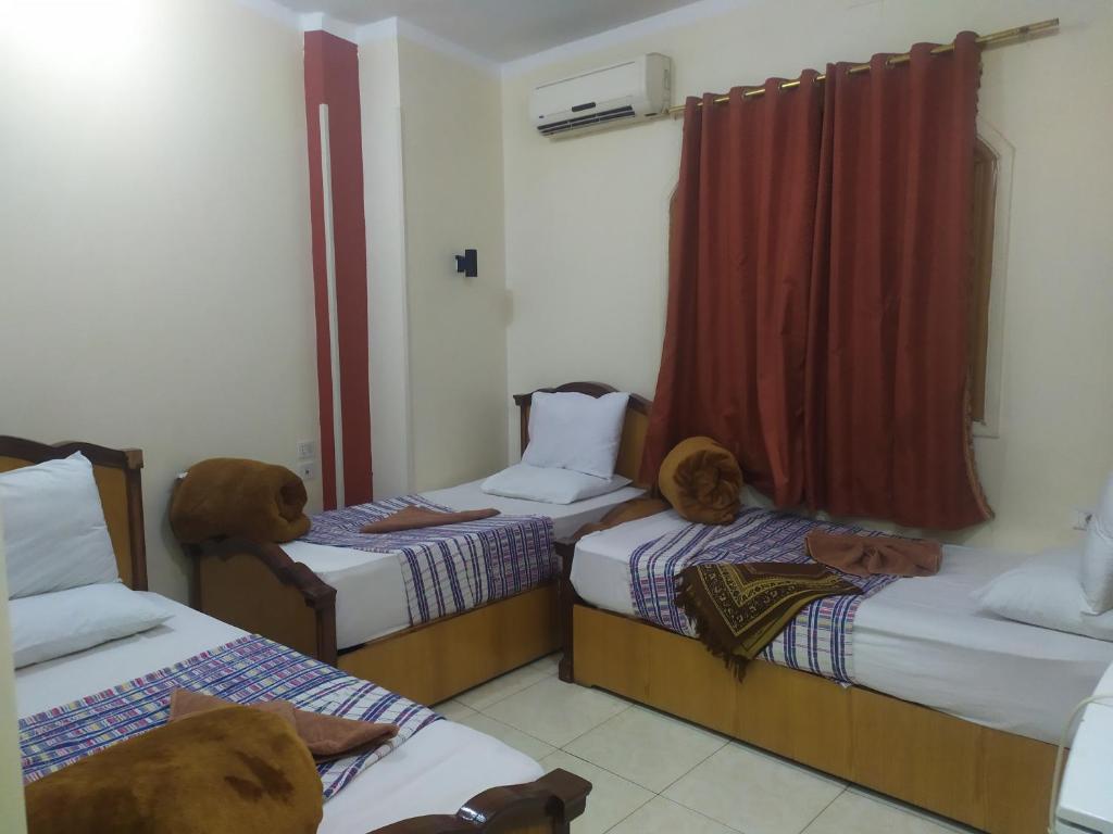 索哈杰Dahab hotel的一间设有两张床的房间,里面装满了动物