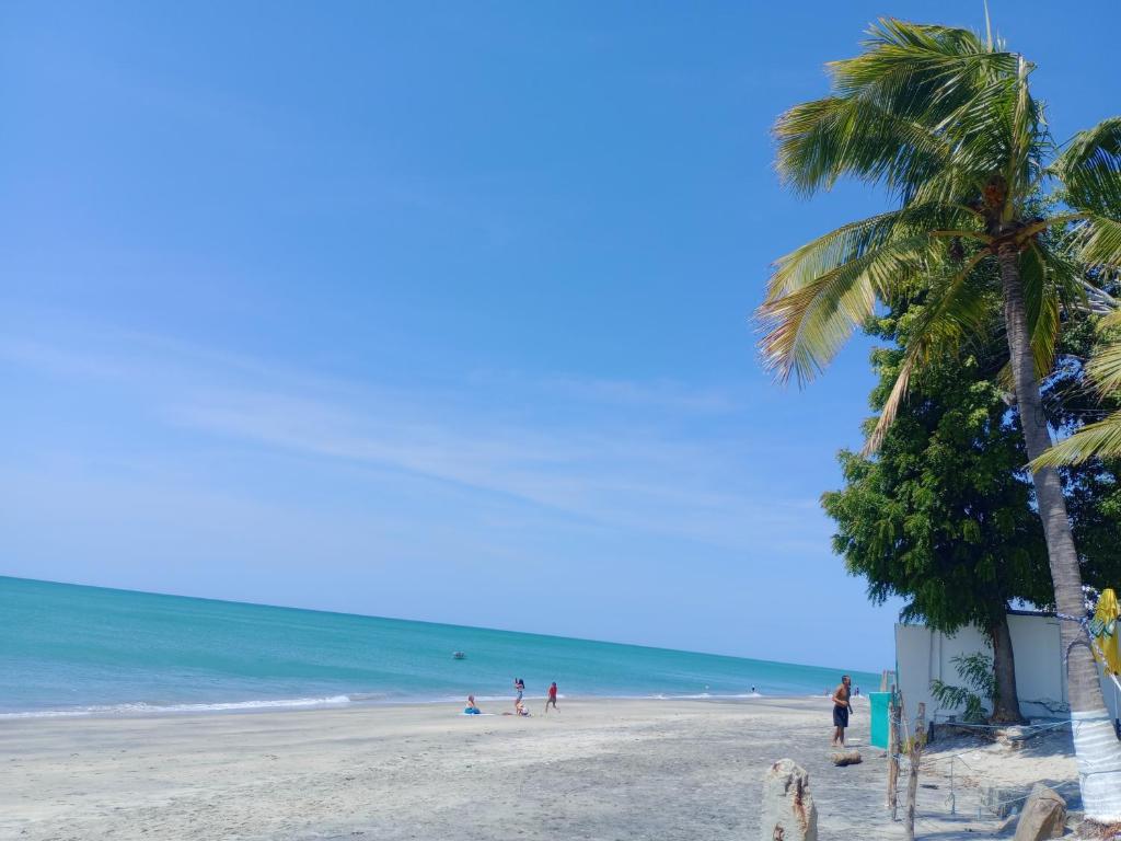普拉亚布兰卡Taca Tucan Hostel的棕榈树和海洋海滩上的人们