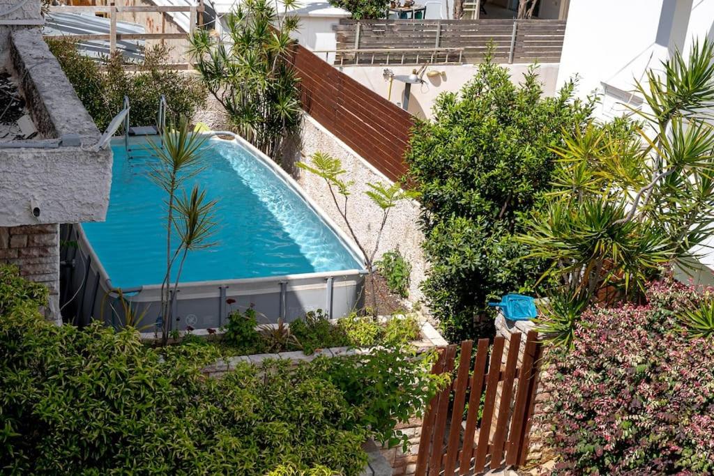 荷兹利亚Stylish 4BR Villa - Herzliya Pituah的花园游泳池的顶部景色