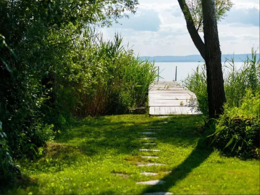 巴拉顿阿卡拉提亚Green Lake House - Private beach at Balaton的一条通往水面码头的路径