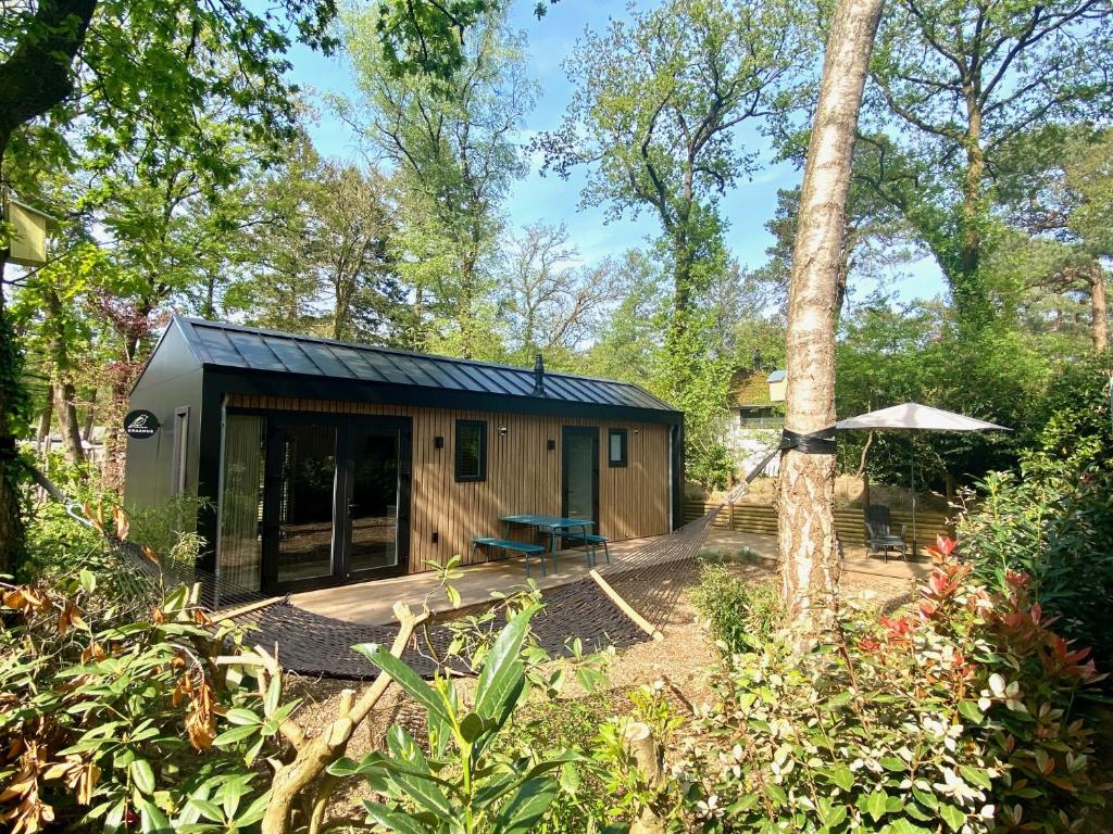宁斯佩特Tinyhouse Grasmus的树林中的一个小房子,带有庭院