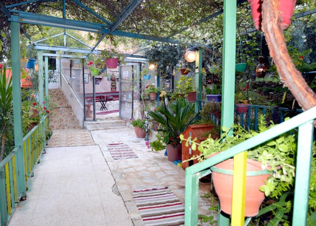 杰拉什بيت الطبيعة nature house的一座种植了盆栽植物的温室