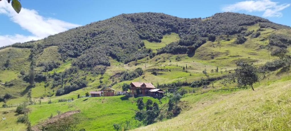 ChordelegCabaña Lato_puzhio的山丘上绿色山丘的房子