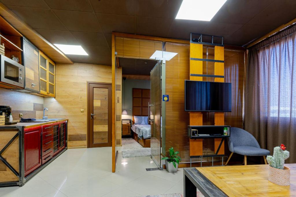 大特尔诺沃Studio77的一间设有厨房和客厅的客房