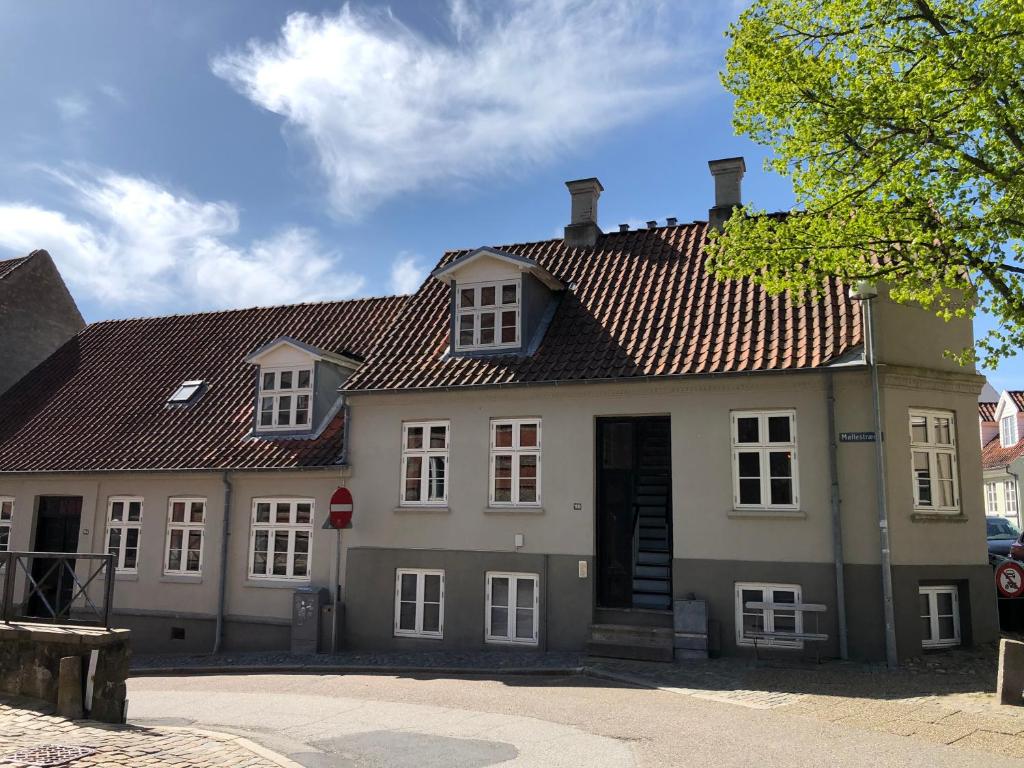 兰讷斯Huset ved springvandet的一间棕色屋顶的大房子