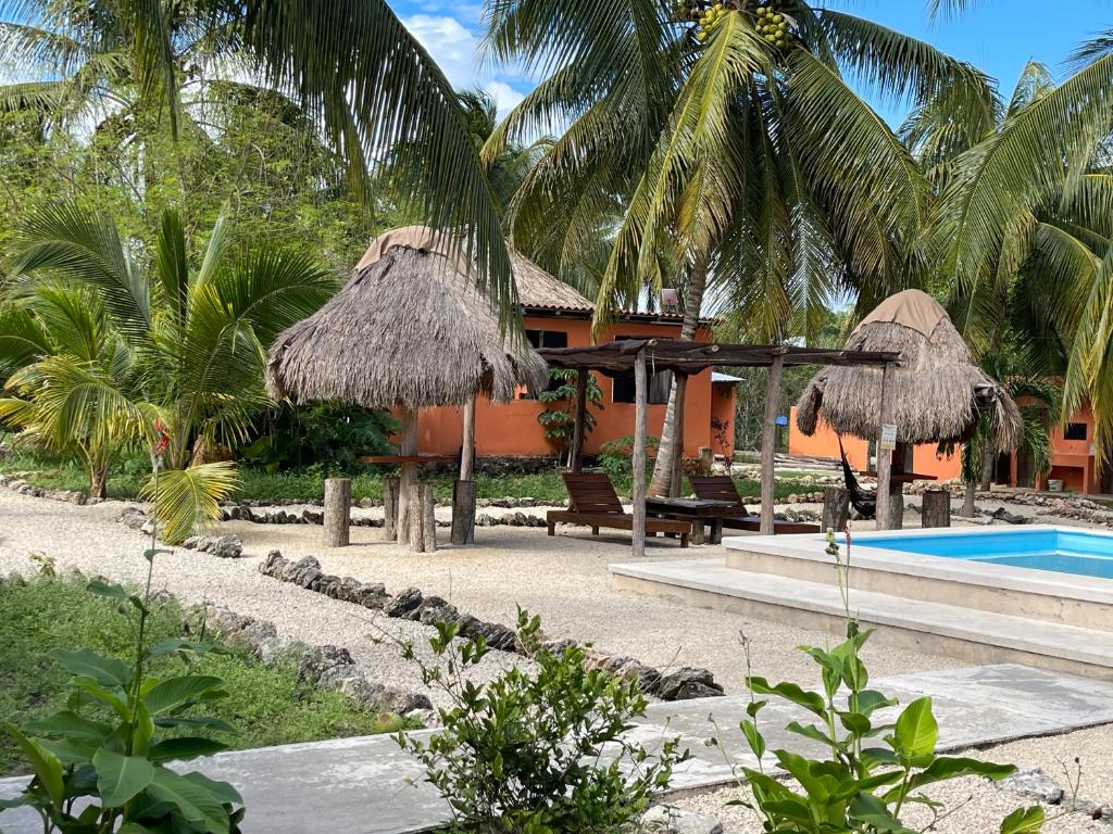 巴卡拉尔Bacalar Sunshine的一个带游泳池和棕榈树的度假村