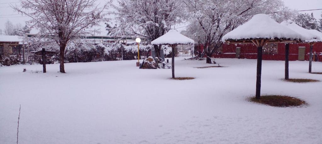 且乌塔Complejo Solitudine的一座被雪覆盖的公园,里面种满了树木和遮阳伞